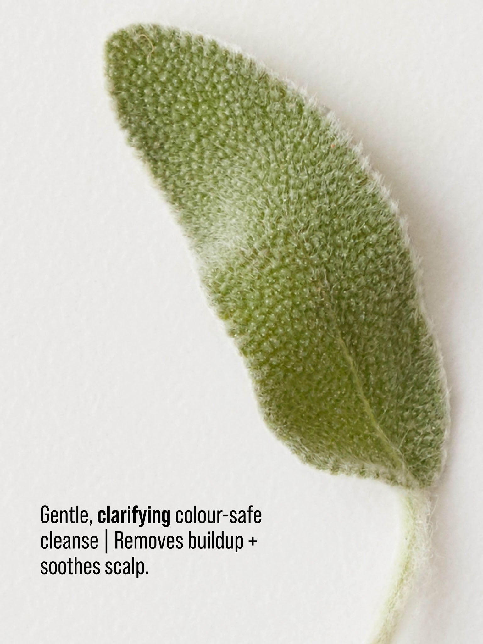 AG RENEW: Clarifying Shampoo 1L Refill