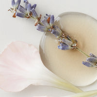 COLOUR SAVOUR Colour Protecting Shampoo 1L Refill