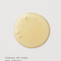 Moisture & Shine Curl Duo Set