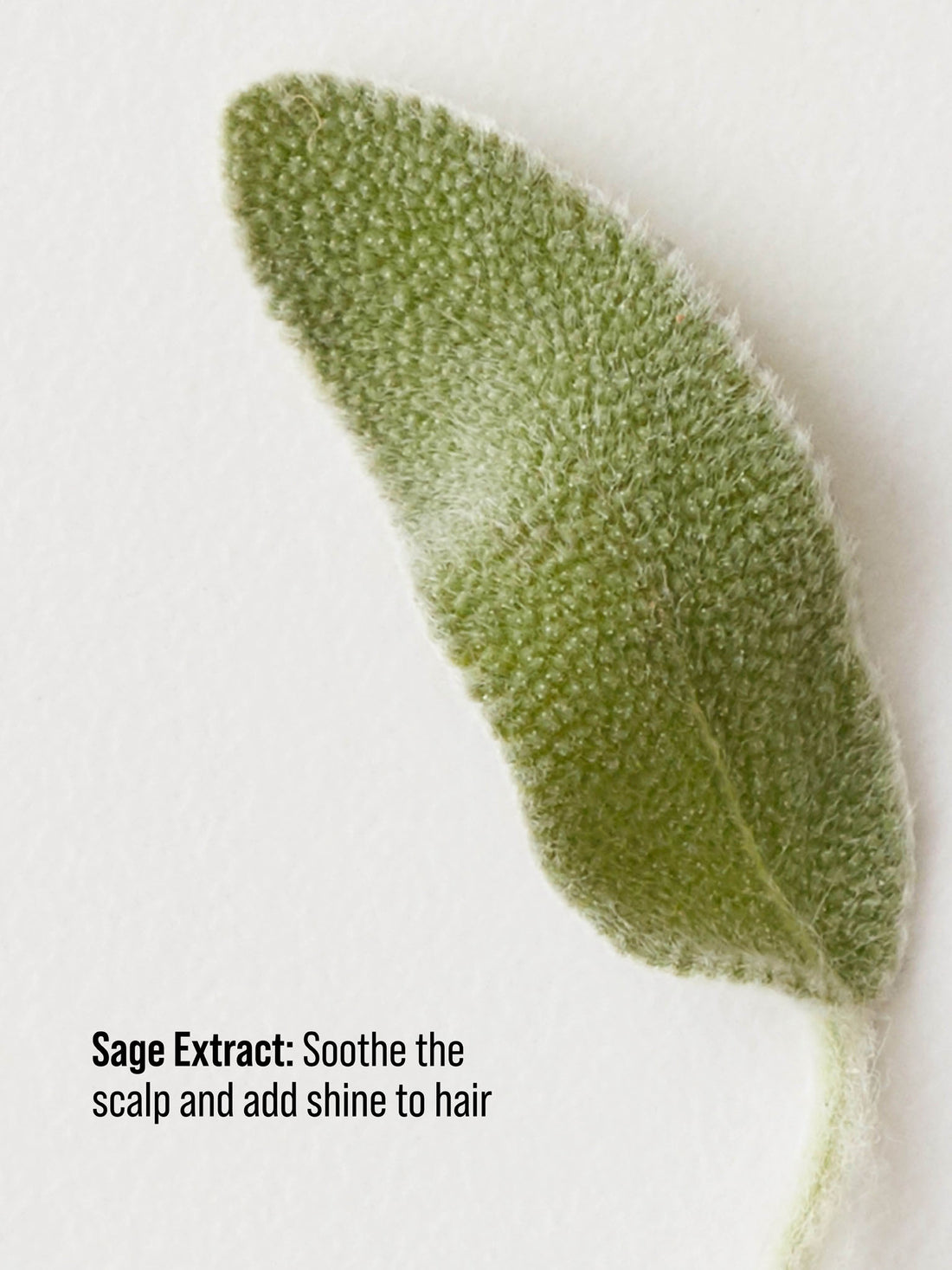 CONDITIONING MIST Detangling Spray