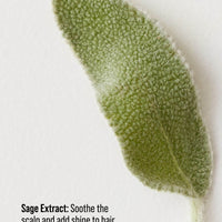 CONDITIONING MIST Detangling Spray